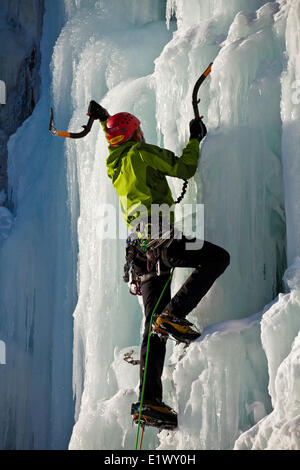 Un maschio ice climber lavora per la sua strada la bella e soleggiata ice salita denominata fungo maligno WI5 in Ghost River Valley, AB Foto Stock