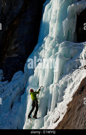 Un maschio ice climber lavora per la sua strada la bella e soleggiata ice salita denominata fungo maligno WI5 in Ghost River Valley, AB Foto Stock