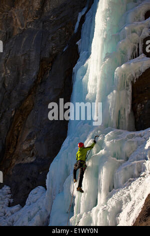 Un maschio ice climber lavora per la sua strada la bella e soleggiata ice salita denominata fungo maligno WI5 in Ghost River Valley, AB Foto Stock