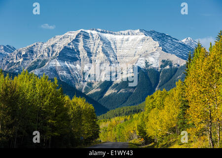 Picco Highwood, pecore fiume Parco Provinciale, Kananaskis County, Alberta, Canada Foto Stock