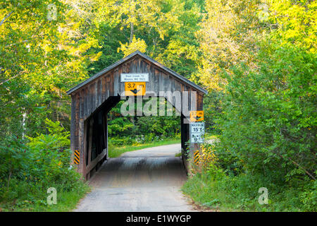 Moores Mill ponte coperto, la trota torrente, New Brunswick, Canada Foto Stock