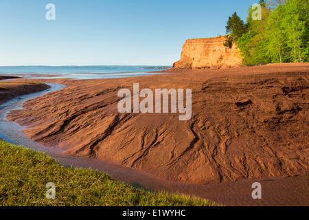 La bassa marea, Baia di Fundy costa, Mill Creek, Nova Scotia, Canada Foto Stock