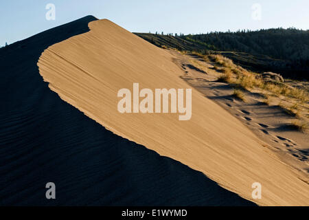 La British Columbia, Canada, BC praterie, Farewell Canyon, Foto Stock