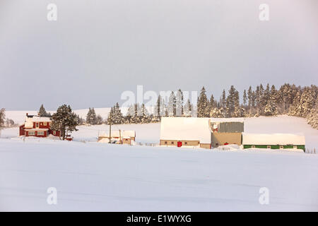 Fattoria in inverno, North Wiltshire, Prince Edward Island, Canada Foto Stock