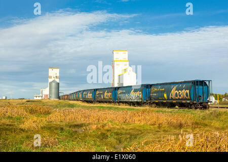 Elevatori delle granaglie e vagoni, Tuxford, Saskatchewan, Canada Foto Stock