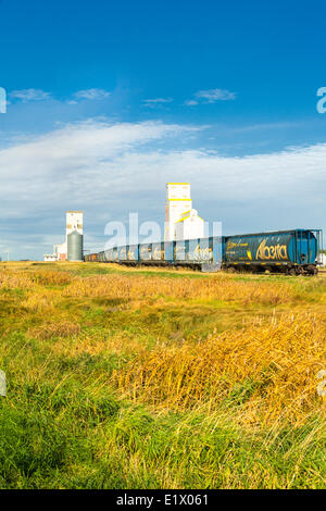 Elevatori delle granaglie e vagoni, Tuxford, Saskatchewan, Canada Foto Stock