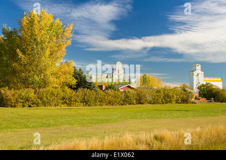 Elevatori delle granaglie, Tuxford, Saskatchewan, Canada Foto Stock