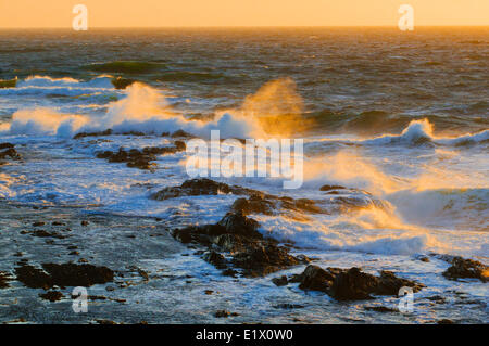 Oceano atlantico onde frangersi punto verde nel Parco Nazionale Gros Morne, Terranova. In Canada. Foto Stock