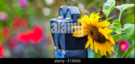 Giardino comunitario. West 6th Ave e Burrrard Street, Vancouver, British Columbia, Canada Foto Stock