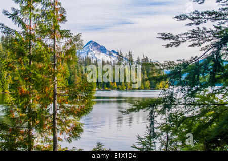 Trillium Lake è un lago situato a 7.5 miglia (12,1 km) a sud-sud-ovest del monte Cofano negli Stati Uniti stato Oregon.Vista del Monte Cofano in Foto Stock