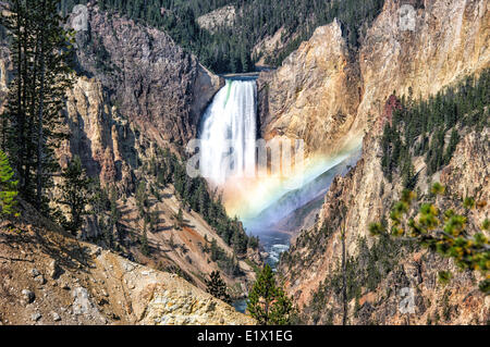 Le cascate Inferiori di Yellowstone Park tumbling nel fiume Yellowstone, parco di Yellowstone, Wyoming USA Foto Stock