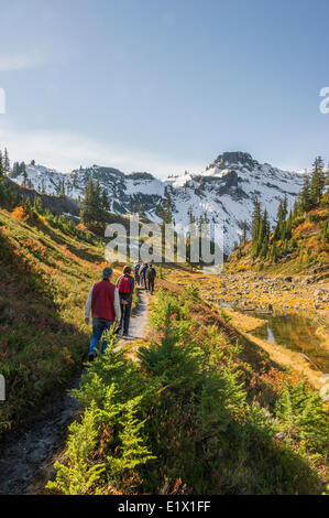 Gli escursionisti sul sentiero in Mount Baker National Park, STATI UNITI D'AMERICA Foto Stock