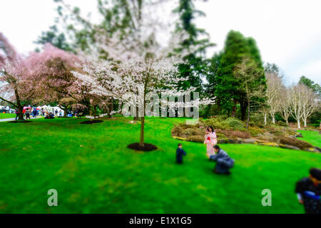 Miniture look della famiglia giapponese a Cherry Blossum Festival e Sakura giorni Giappone Fiera a Van Dusen giardini, Vancouver, British Foto Stock