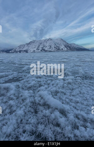 Lago Kluane dopo il ghiaccio ha parzialmente coperto il lago. Pecore Mountainis in distanza nelle prime ore del mattino. Kluane Foto Stock