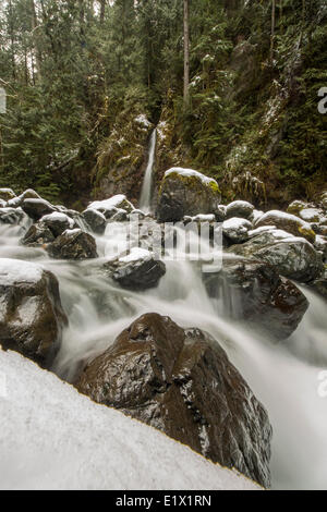 Rosewall cascata, Rosewall Parco Provinciale, Isola di Vancouver, British Columbia, Canada. Foto Stock