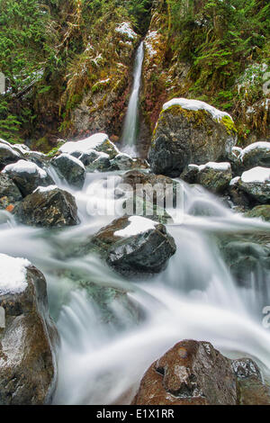 Rosewall cascata, Rosewall Parco Provinciale, Isola di Vancouver, British Columbia, Canada. Foto Stock