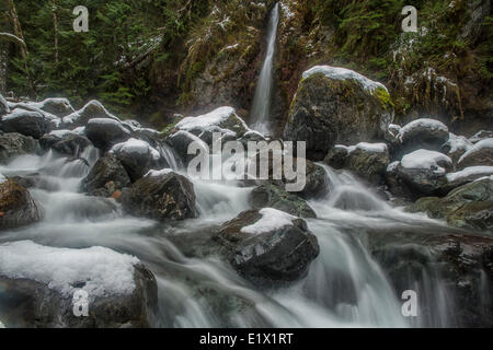 Rosewall cascata, Rosewall Parco Provinciale, Isola di Vancouver, British Columbia, Canada. Foto Stock