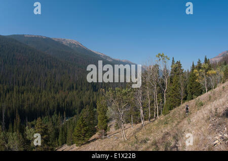 Mountain bike touring in Gun Creek. Lago di abete Area protetta. Sud Chilcotin Mountains. La British Columbia, Canada Foto Stock