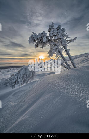 A metà giornata sun come visto dalle pendici del monte cornacchia, vicino alla vecchia Crow, Yukon. Foto Stock