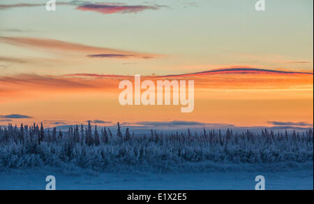 Tramonto sulla congelati Porcupine River, Old Crow, Yukon. Foto Stock