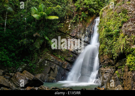 La Mina le cascate, Foresta Nazionale Caraibica (Foresta Pluviale di El Yunque), Puerto Rico Foto Stock