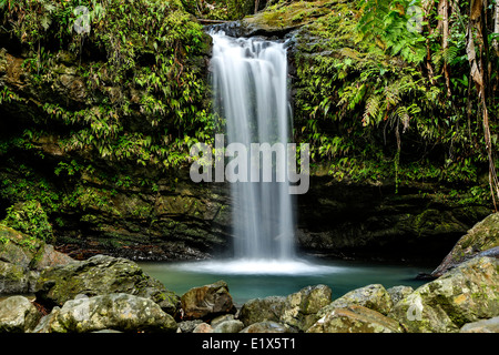 Juan Diego cascata, Foresta Nazionale Caraibica (Foresta Pluviale di El Yunque), Puerto Rico Foto Stock