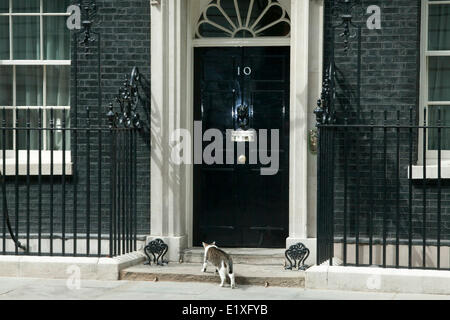 Westminster London UK. Il 10 giugno 2014. Larry il gatto arriva all'ingresso di 10 Downing street Credit: amer ghazzal/Alamy Live News Foto Stock