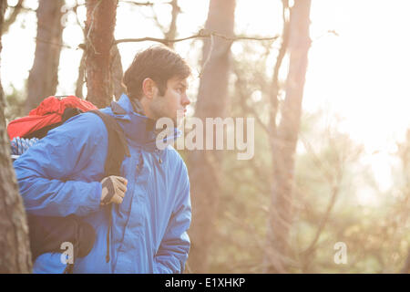 Fare escursionista zaino porta in foresta Foto Stock