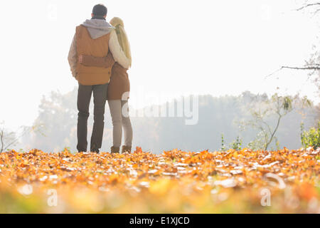 Vista posteriore del giovane guardando a vista nel parco durante l'autunno Foto Stock