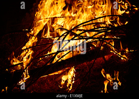 Bruciando legno di eucalipto in un intenso fuoco di campo los pellines Cile Foto Stock