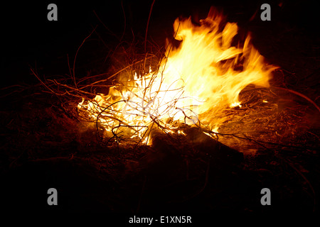 Bruciando legno di eucalipto in un intenso fuoco di campo los pellines Cile Foto Stock