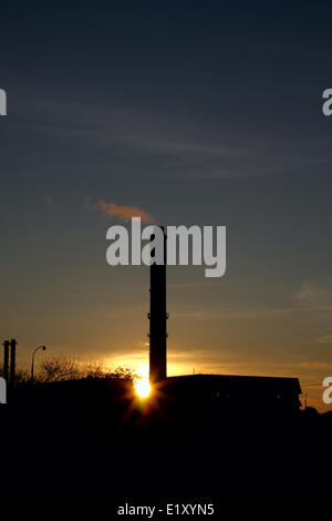 Il fumo dal camino industriale levetta Foto Stock