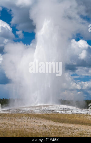 Old Faithful Foto Stock