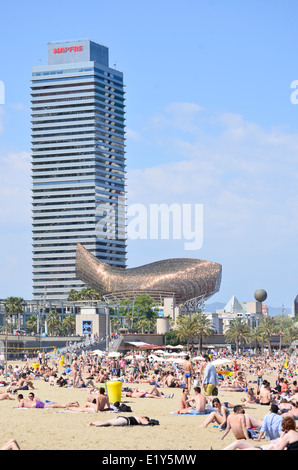 Lucertole da mare a Barceloneta Beach con Frank Gehry's Fish, Peix, scultura e Mapfre edificio a torre. Barcellona, in Catalogna, Spagna. Foto Stock