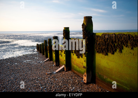 Whitstable, pier, capanne, spiaggia, mare, jetty, mare Coast Inghilterra, inglese, Regno Unito, Gran Bretagna, estate Foto Stock