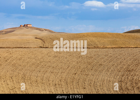 Paesaggio con edifici sulla collina e terreni arati nella regione di Mucigliani (tra Siena e Asciano), Toscana, Italia Foto Stock