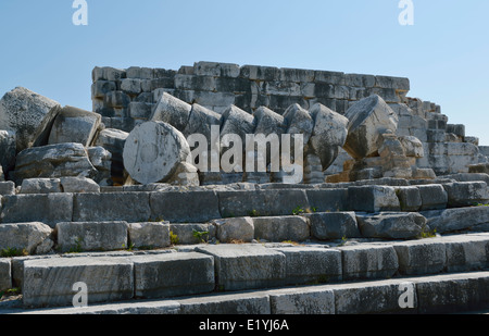 Didyma, Turchia 140415 60637 Foto Stock
