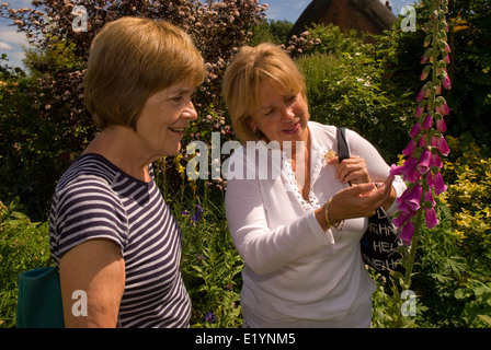 Due anziane signore esaminando foxglove piante in un inglese un paese rurale giardino nel villaggio di froyle, hampshire, Regno Unito. Foto Stock