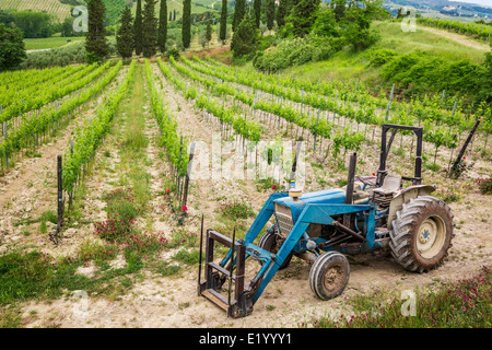 Vigne di campo e un trattore blu Foto Stock