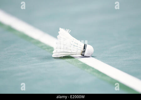 Tokyo Metropolitan Gymnasium, Tokyo, Giappone. 11 Giugno, 2014. volano, 11 Giugno 2014 - Badminton : Overgrip Yonex Open Giappone 2014 presso il Tokyo Metropolitan Gymnasium, Tokyo, Giappone. Credito: SHINGO ITO AFLO/sport/Alamy Live News Foto Stock