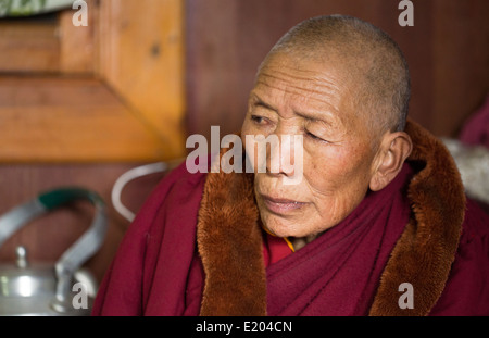 Nepal Himalaya monaca buddista presso il monastero Kharigandentenphelling nel villaggio di Thamo Solukhumbu Mt Everest 88 Foto Stock