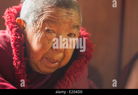 Nepal Himalaya monaca buddista presso il monastero Kharigandentenphelling nel villaggio di Thamo Solukhumbu Mt Everest 90 Foto Stock