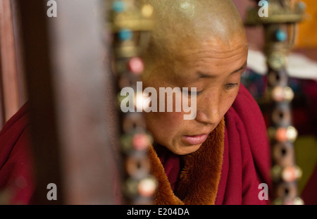 Nepal Himalaya monaca buddista presso il monastero Kharigandentenphelling nel villaggio di Thamo Solukhumbu Mt Everest 90 Foto Stock