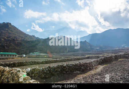 Il Nepal Agricoltura campi divisi da pareti in pietra nel villaggio di Khumjung, remoto, Mt everest, Himalaya Foto Stock