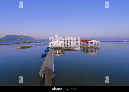 Tradizionale palafitte sollevato al di sopra della laguna di Messolongi, regione Aetoloacarnania, costa ovest della Grecia centrale Foto Stock