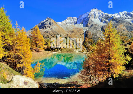 Lac Bleu con autunnale di larici della Val d'Arolla, Mt Dents de Veisivi sul retro del Canton Vallese, Svizzera Foto Stock