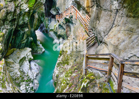 In Lammerklamm gorge, Lammeröfen, Fiume Lammer, Tennen montagne, Scheffau, Lammer Valley, Tennengau, Salisburgo, Austria Foto Stock