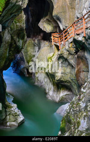 In Lammerklamm gorge, Lammeröfen, Fiume Lammer, Tennen montagne, Scheffau, Lammer Valley, Tennengau, Salisburgo, Austria Foto Stock