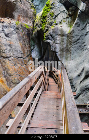 Il Boardwalk in Seisenbergklamm, Weissbach, Saalach, Lofer, Zell am See District, Salisburgo, Austria Foto Stock