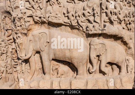 Il bassorilievo della discesa del Gange, Mahabalipuram, Mamallapuram, Tamil Nadu, Kanchipuram, India Foto Stock